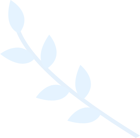 星云体彩模拟打票软件